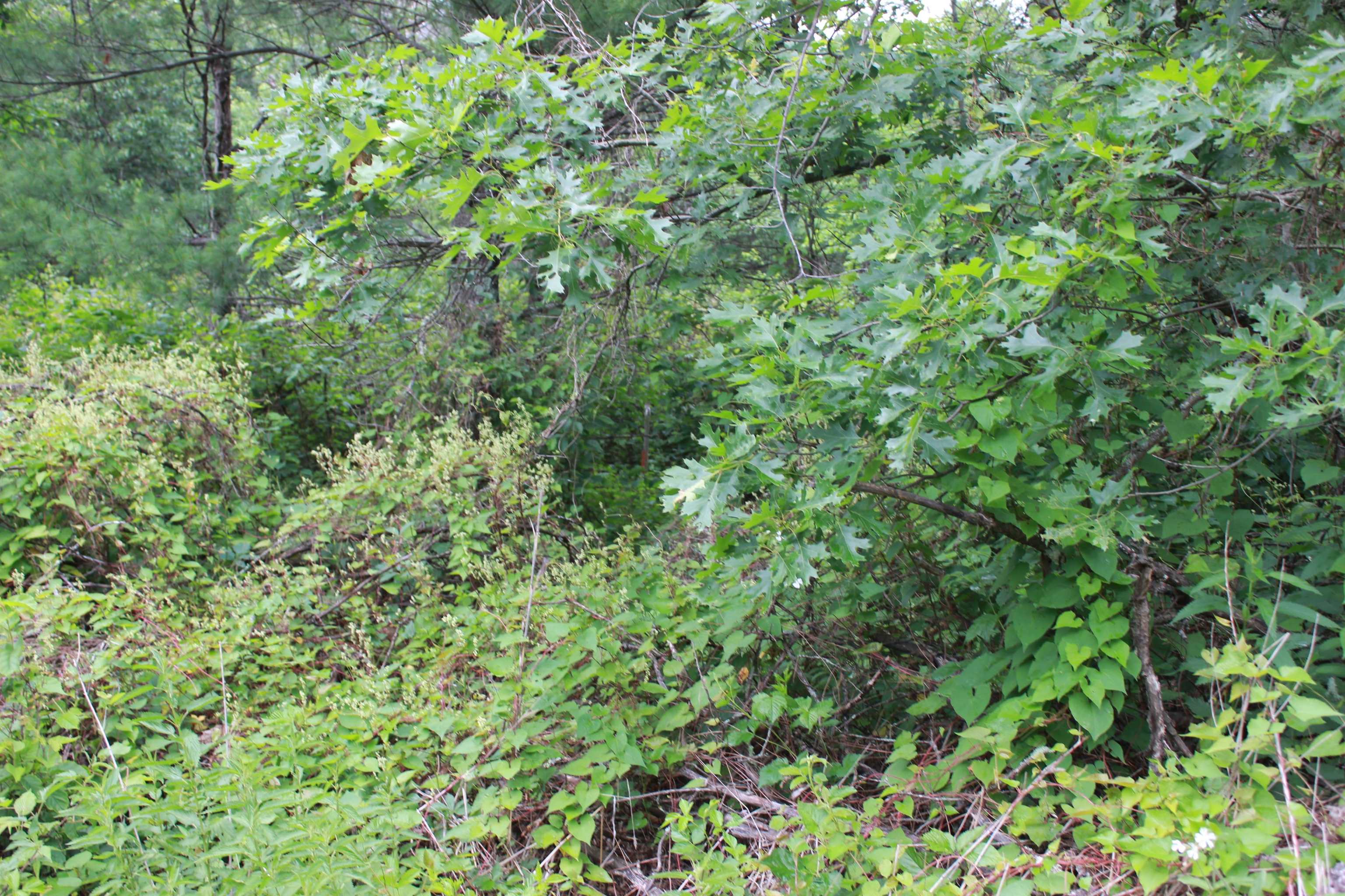 931 East Trout Valley Road Friendship, WI 53934 - Photo 25 of 35