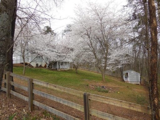 107 Blackberry Ridge Road Lenoir City, TN 37772 - Photo 20 of 23 Additional Photo