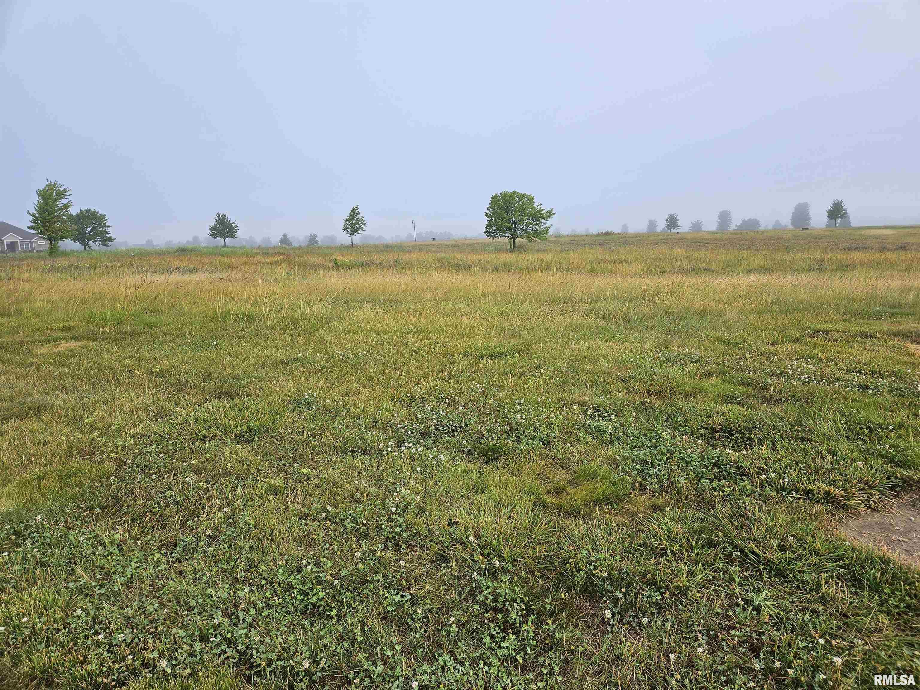 1010 Ring Drive Metamora, IL 61548 - Photo 1 of 1