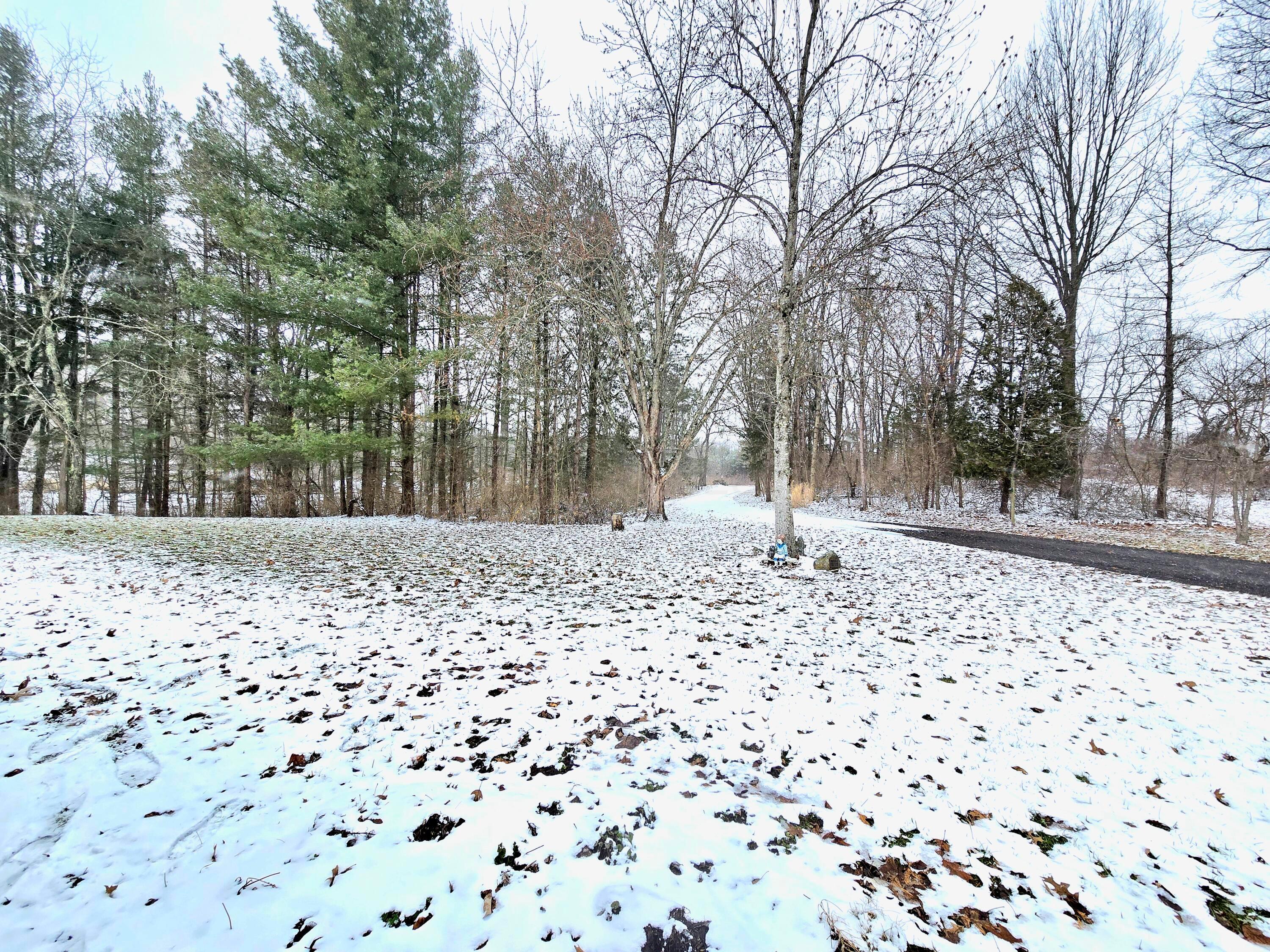 8870 Lott Road Marengo, OH 43334 - Photo 50 of 68 1000054293