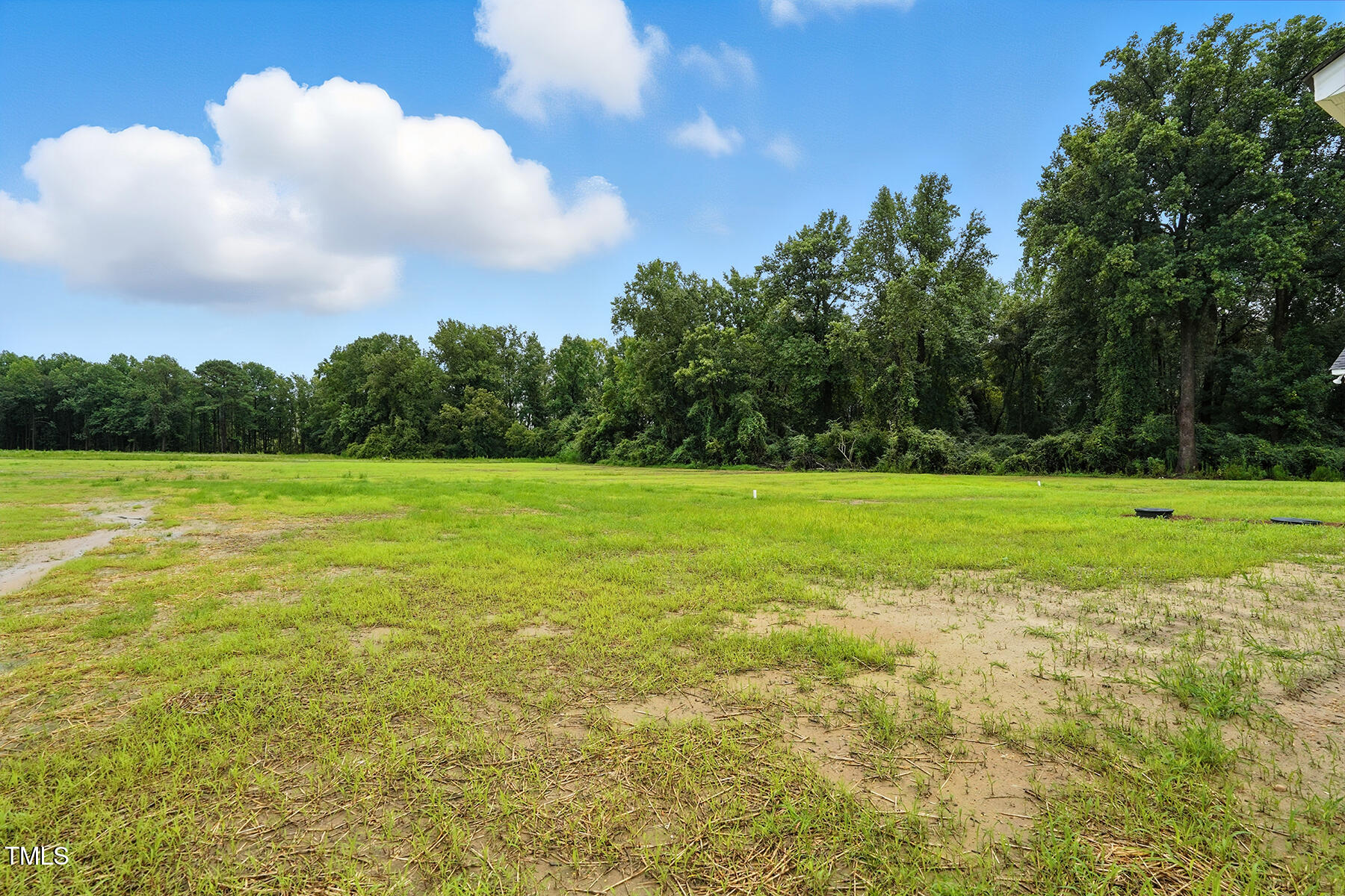 8686 Green Path Road Dunn, NC 28334 - Photo 28 of 31 Back Yard