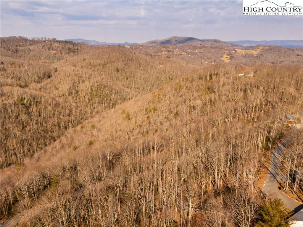 1122 Pine Ridge Road Beech Mountain, NC 28604 - Photo 13 of 38