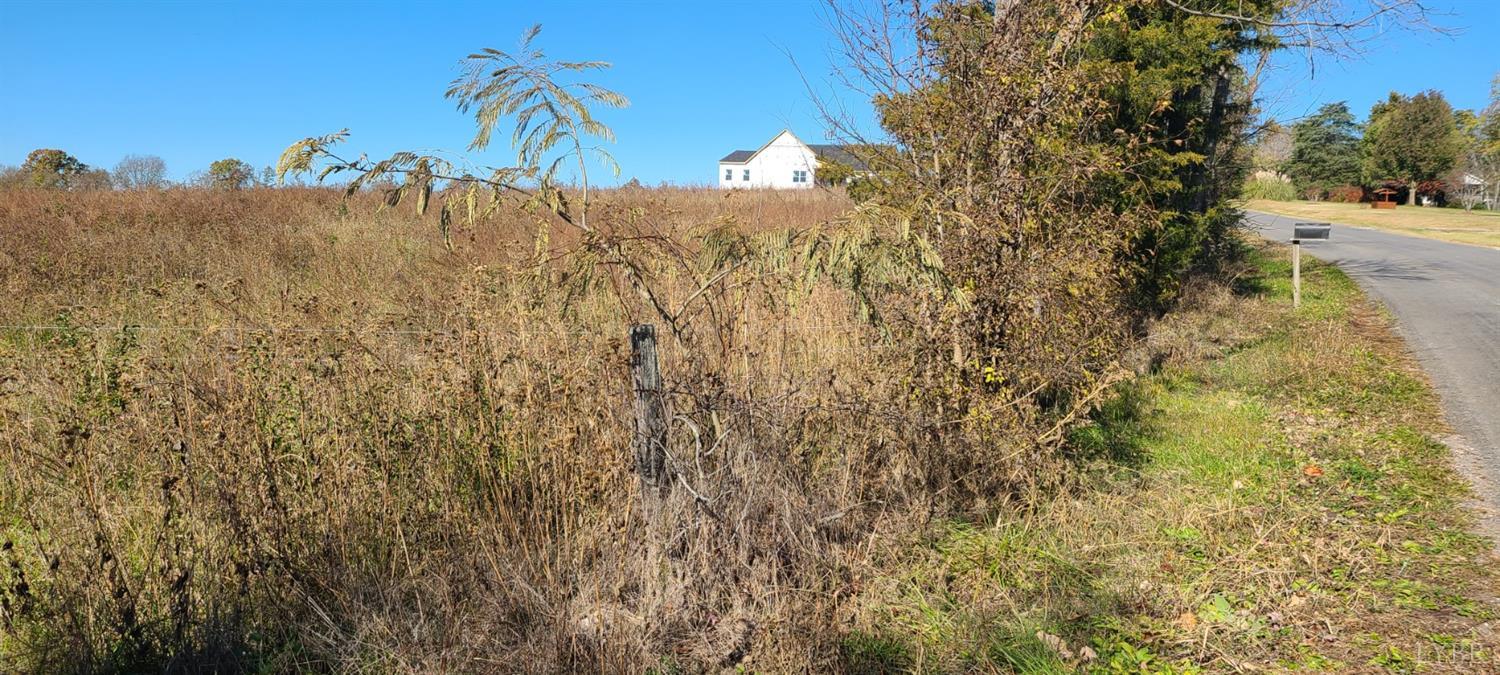 0 Lot 3 Clarks Road Rustburg, VA 24588 - Photo 4 of 6 a view of a yard