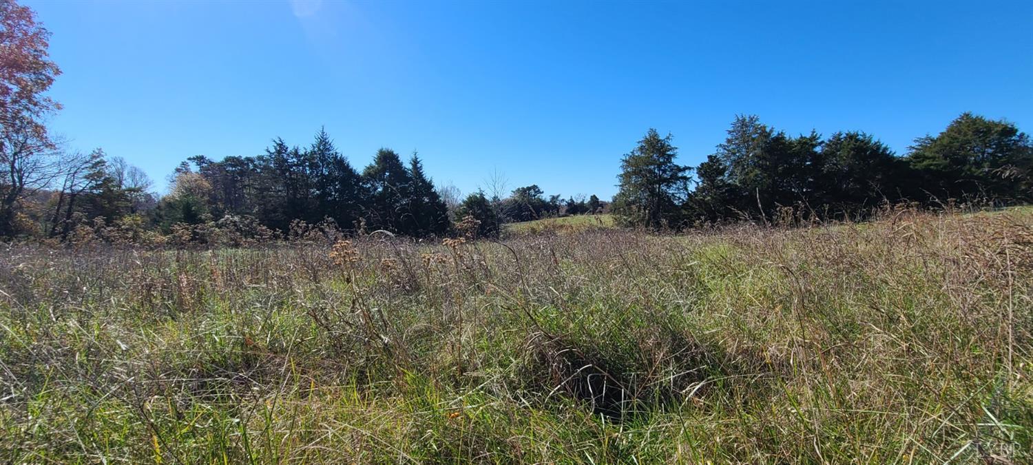 0 Lot 3 Clarks Road Rustburg, VA 24588 - Photo 6 of 6 a view of a dry yard with trees in the background