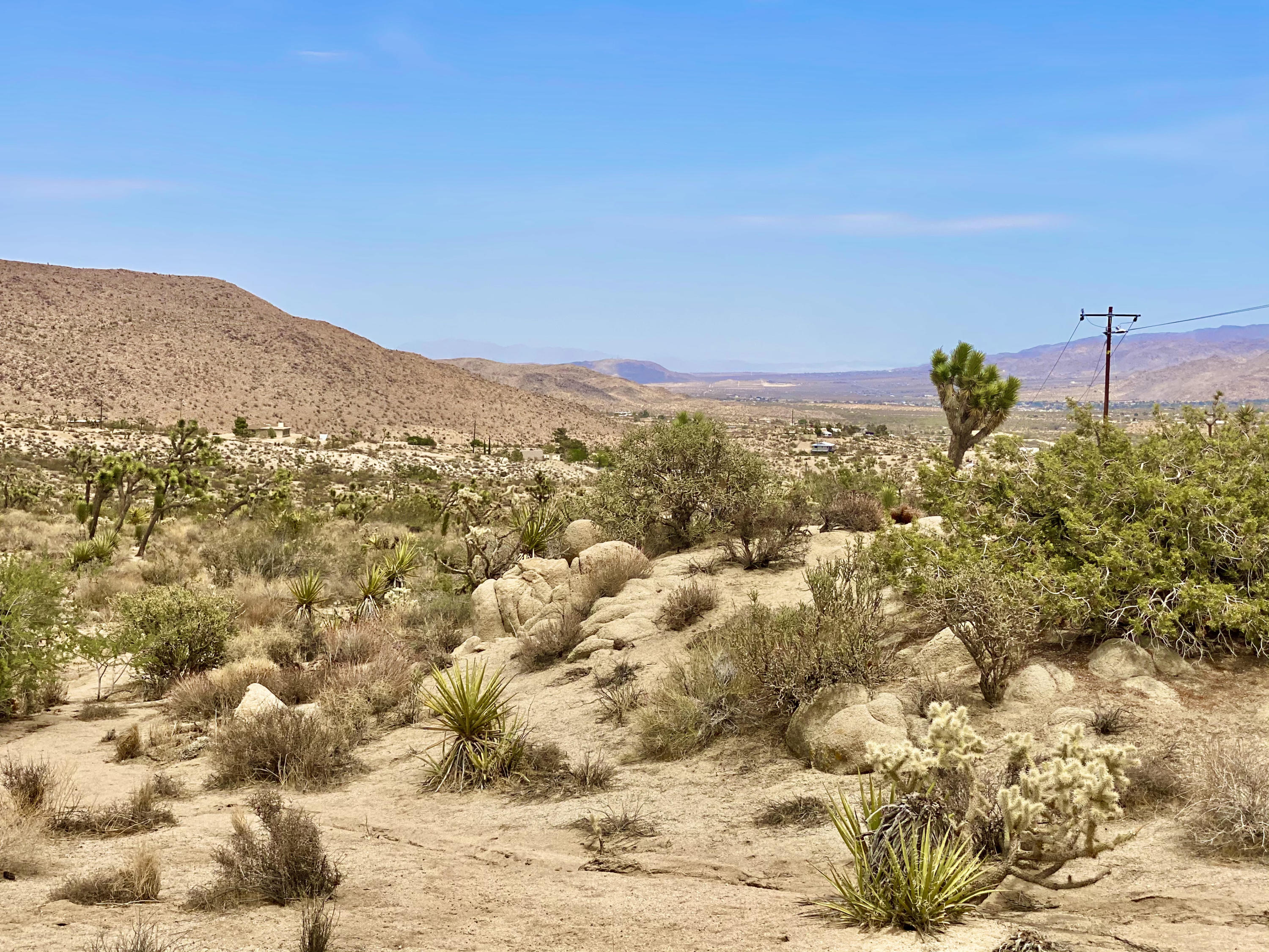 104 Bandera Road Yucca Valley, CA 92284 - Photo 6 of 48 IMG_3499
