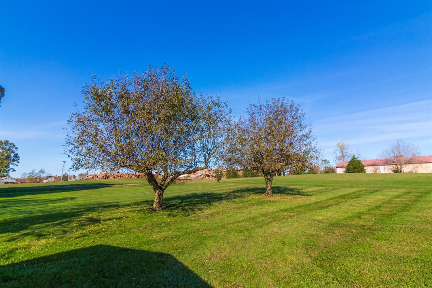 2354 Measley Ridge Road Peebles, OH 45660 - Photo 9 of 28
