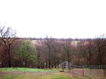 18800 Saddleback Ridge Road Cottonwood, CA 96022 - Photo 9 of 9 view and acreage