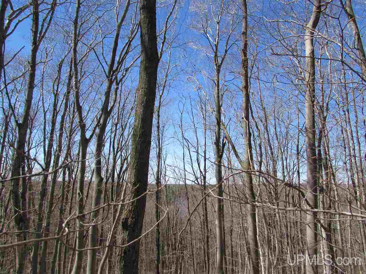 58 Shingleton Mi 49884 Shingleton, MI 49884 - Photo 4 of 4
