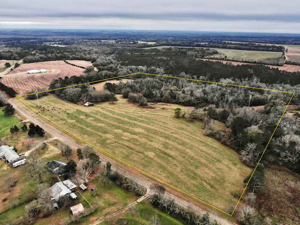 0 Tom Fain Road Geneva, AL 36340 - Photo 3 of 13