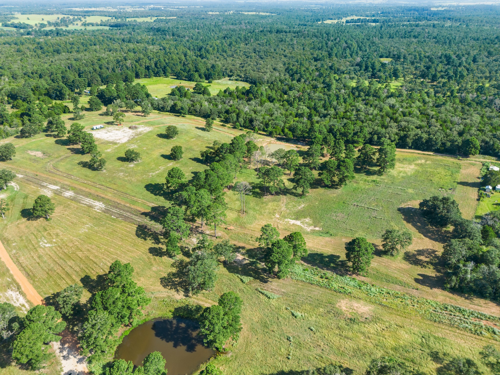 170 Split Oak Road Smithville, TX 78957 - Photo 29 of 31 An aerial perspective reveals vast acreage with interspersed wooded areas, open fields, and a tranquil pond.