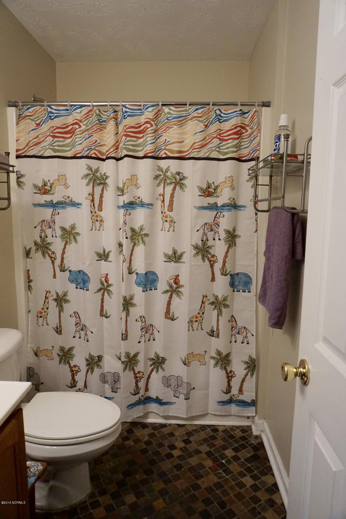 299 Fire Tower Road Richlands, NC 28574 - Photo 23 of 47 DSC02064