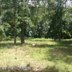 299 Fire Tower Road Richlands, NC 28574 - Photo 35 of 47 IMG_0475