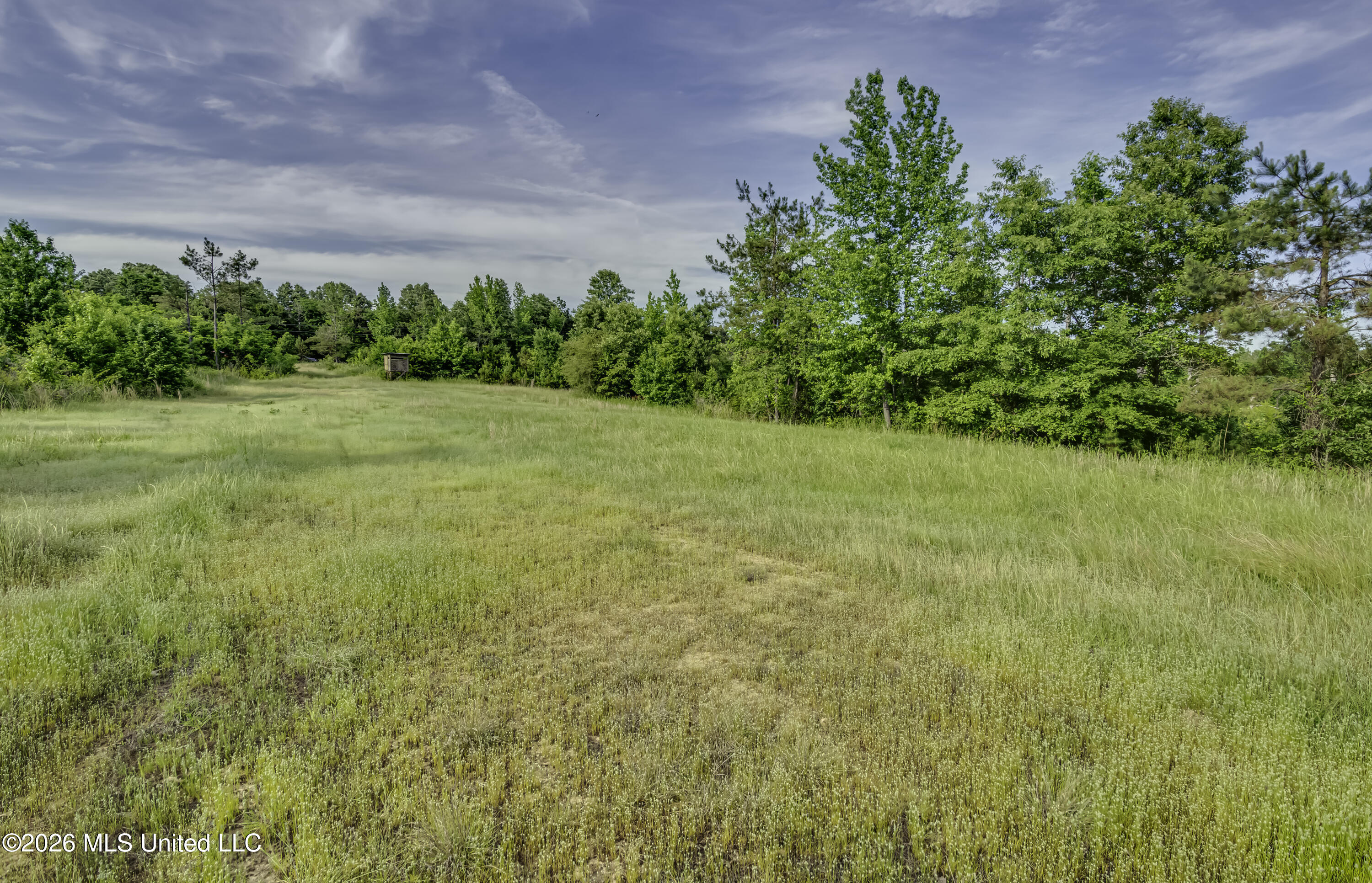 6030 Wash Bailey Road Durant, MS 39063 - Photo 41 of 66 Wash Bailey Rd--71