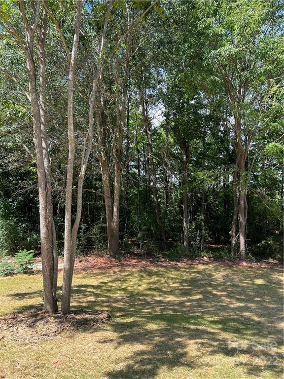 3840 Turner Road Clover, SC 29710 - Photo 7 of 28 a view of a swimming pool next to a yard