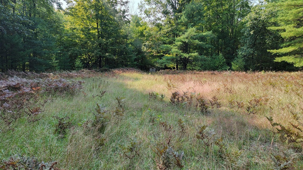 5 5 Mile Road Lakeview, MI 48850 - Photo 8 of 14