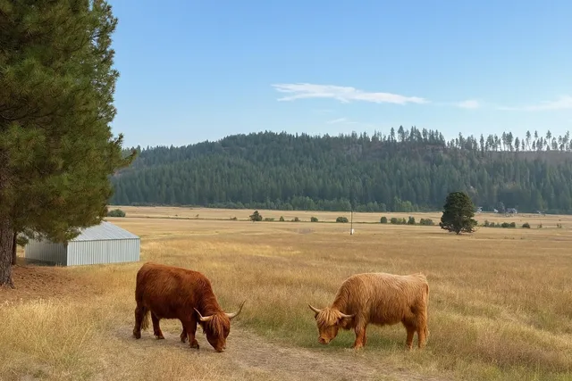 $175,000 | 4670 Springdale-Hunters Road, Springdale, WA 99173