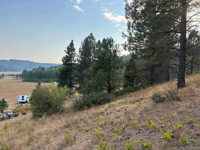 $175,000 | 4670 Springdale-Hunters Road, Springdale, WA 99173