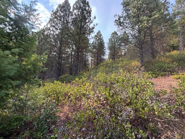 $175,000 | 4670 Springdale-Hunters Road, Springdale, WA 99173