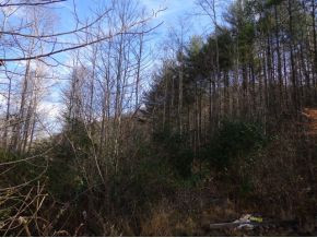 5294 Mendota Road Mendota, VA 24270 - Photo 5 of 11 Photo 5