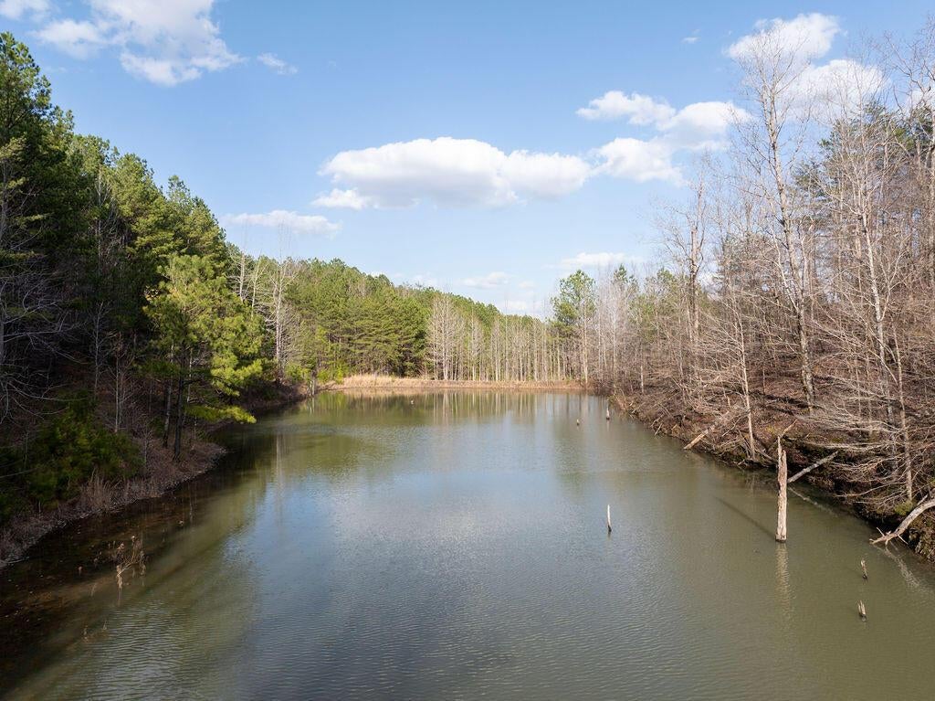 15201 Co Road Carbon Hill, AL 35549 - Photo 8 of 46 Gallery Image 8