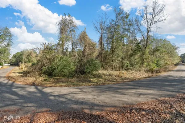 a view of dirt yard with large trees