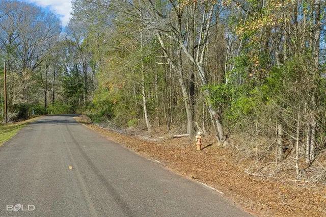 a view of a road with trees in the background
