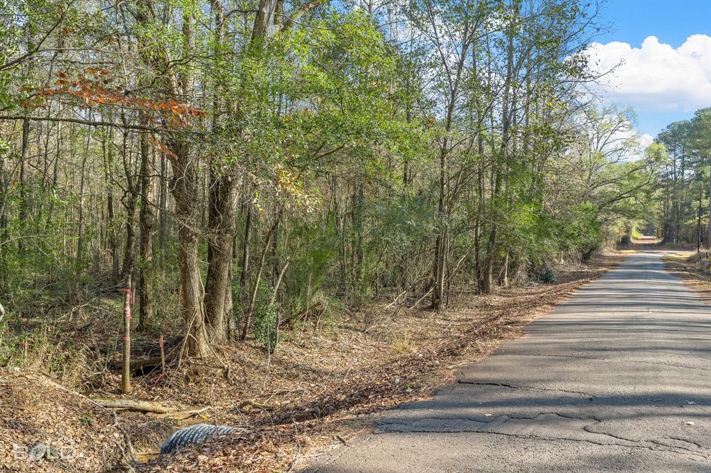 Lot 5 Mockingbird Lane Plain Dealing, LA 71064 - Photo 8 of 9 a view of a forest with trees