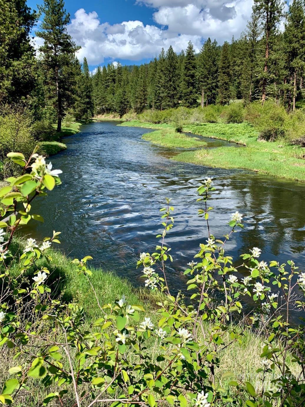 Lot 31 Round Valley Road New Meadows, ID 83654 - Photo 1 of 1 Gallery Image 1