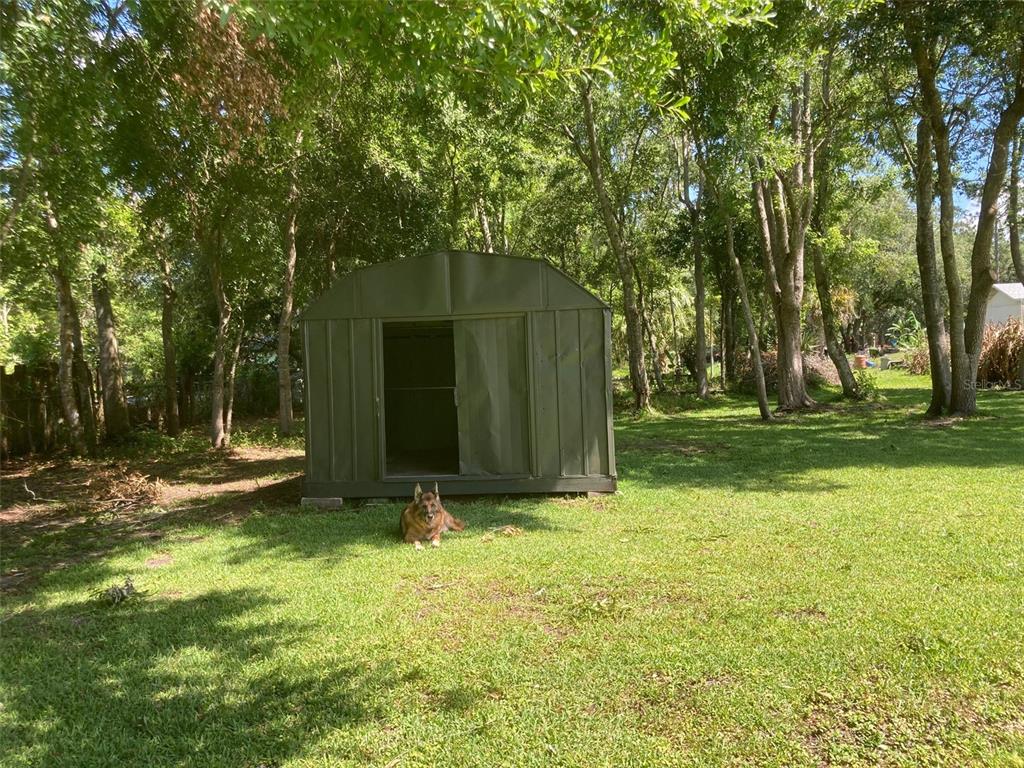 18137 Hollister Road Orlando, FL 32820 - Photo 26 of 27 a view of a backyard with large trees