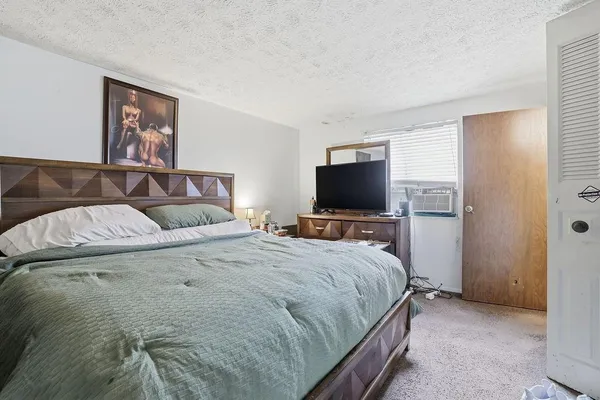a bedroom with a bed and a flat screen tv