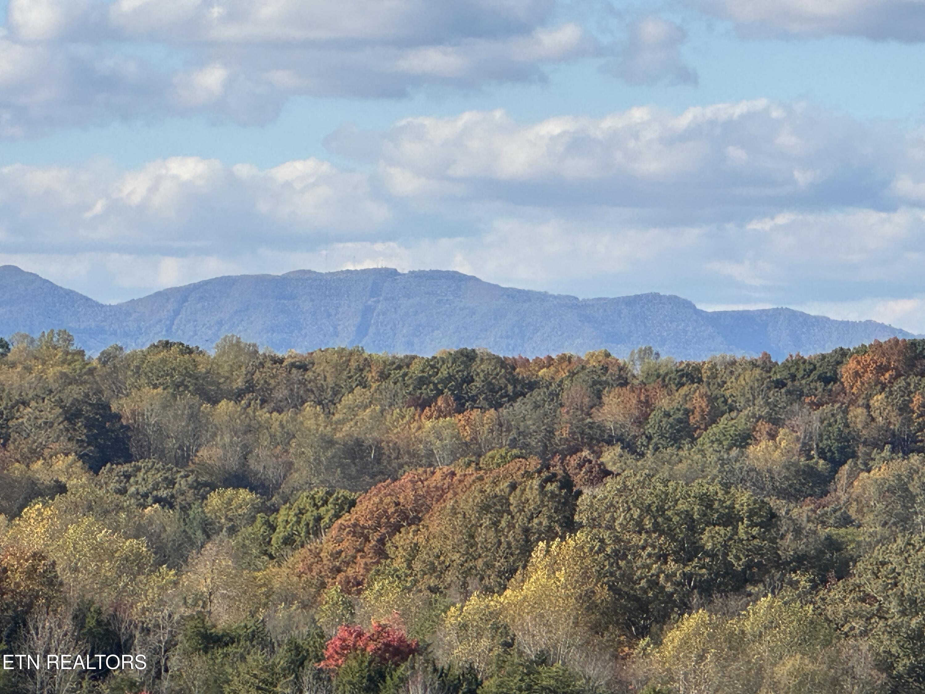 1885 Hickory Reserve Road Knoxville, TN 37932 - Photo 22 of 23 View from Patio