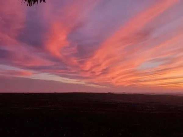 a view of city and ocean