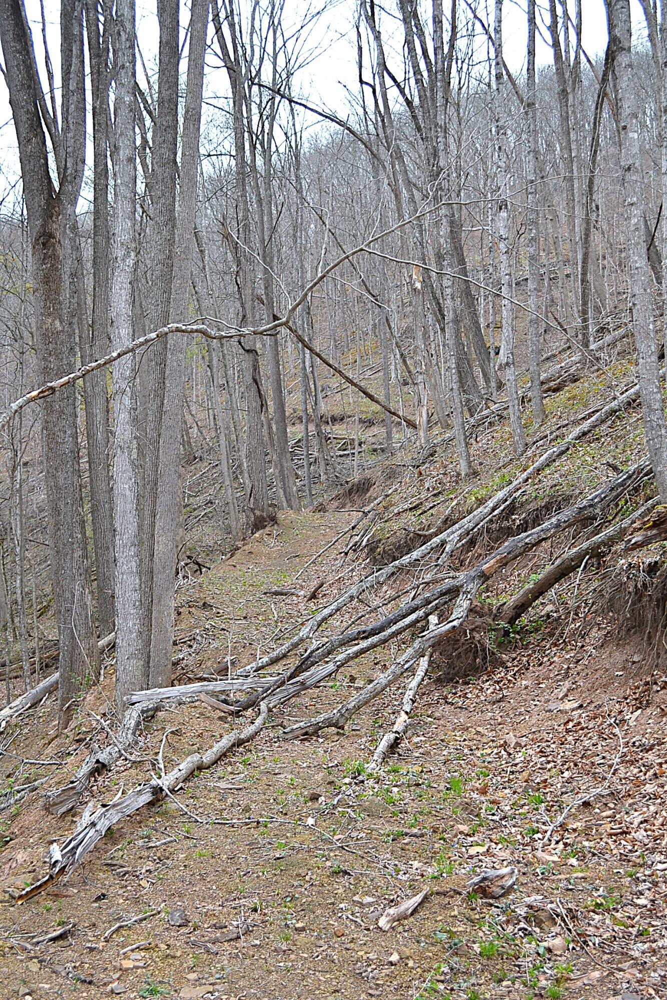 Snake Run Road Alderson, WV 24910 - Photo 18 of 24 Land View