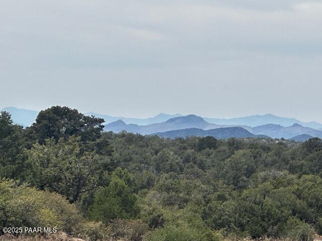 0 Shiloh Road Seligman, AZ 86337 - Photo 1 of 37 IMG_8835