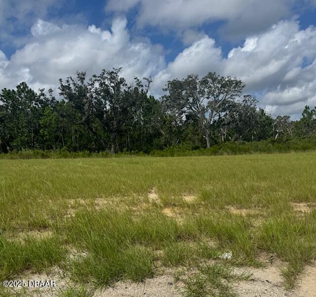 93 Coronado Road Flagler Beach, FL 32136 - Photo 2 of 9 a view of a field with an trees in the background