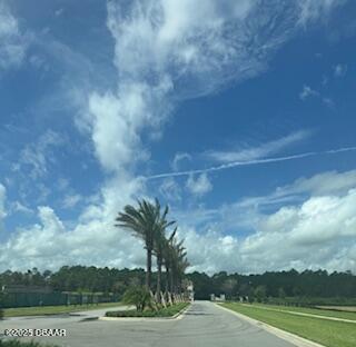 93 Coronado Road Flagler Beach, FL 32136 - Photo 9 of 9 a view of a yard