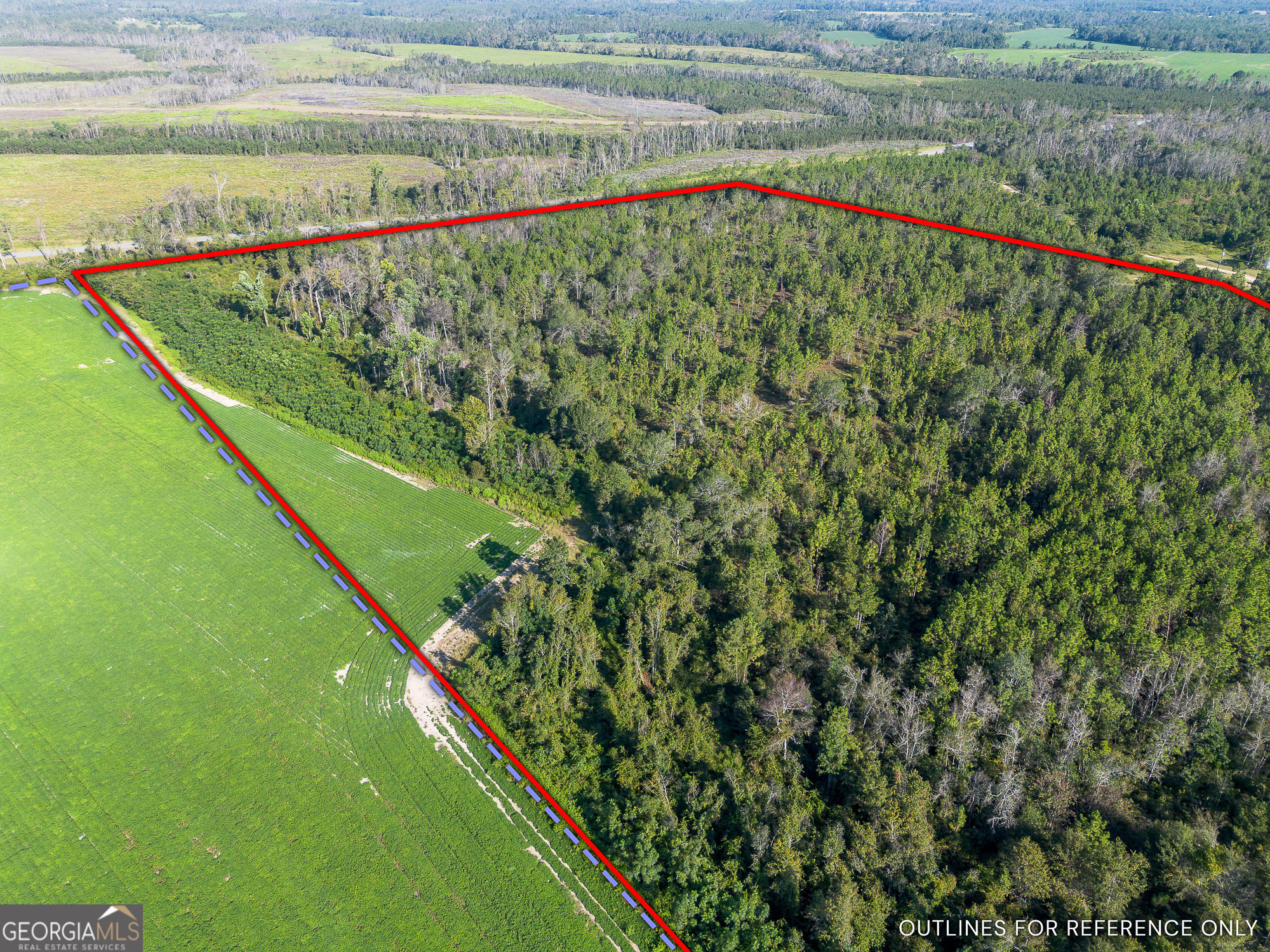 0 Rhonda Coleman Road Hazlehurst, GA 31539 - Photo 12 of 18 a view of a green field with a ground