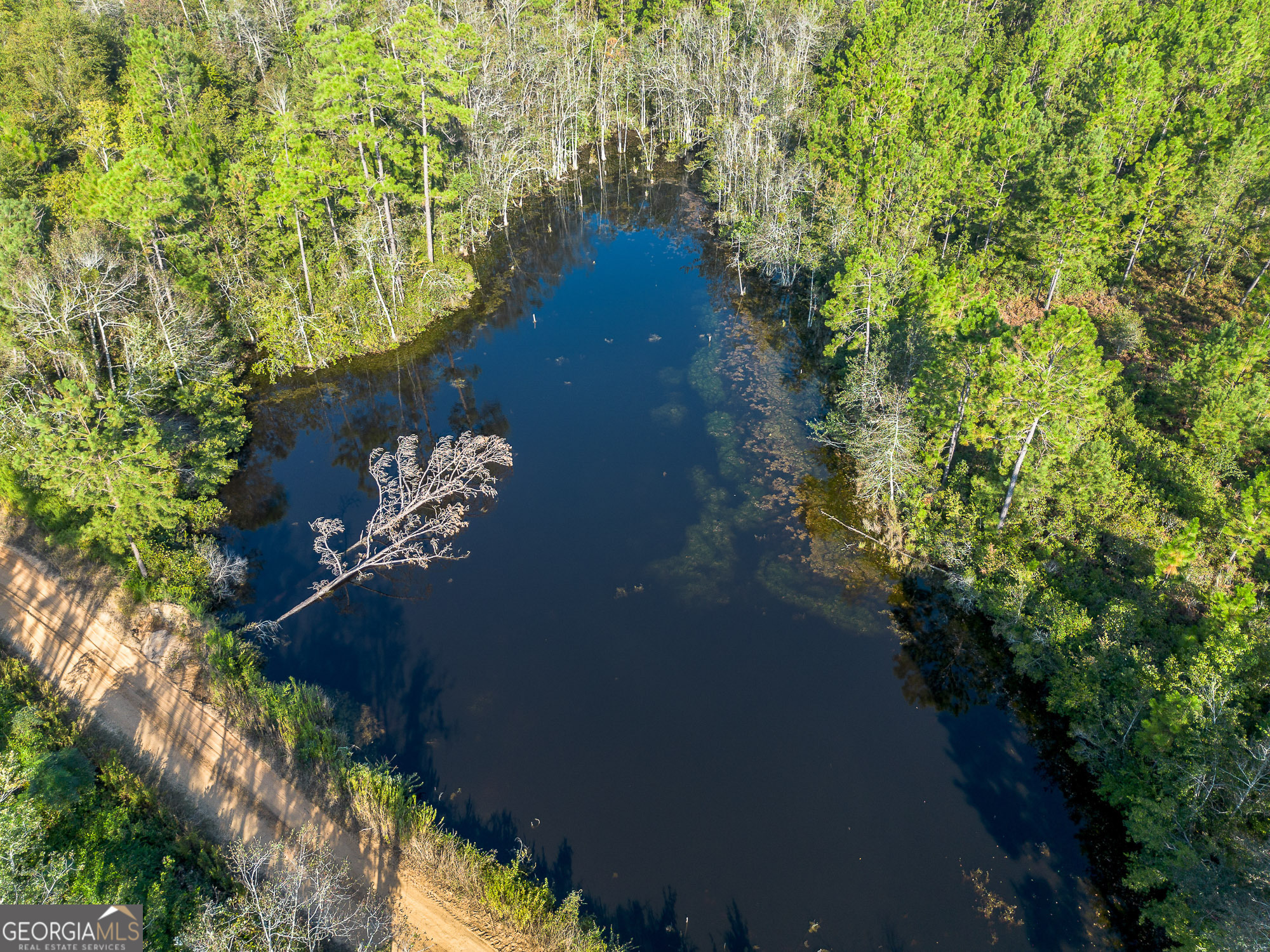 0 Rhonda Coleman Road Hazlehurst, GA 31539 - Photo 13 of 18 a view of a house with a yard