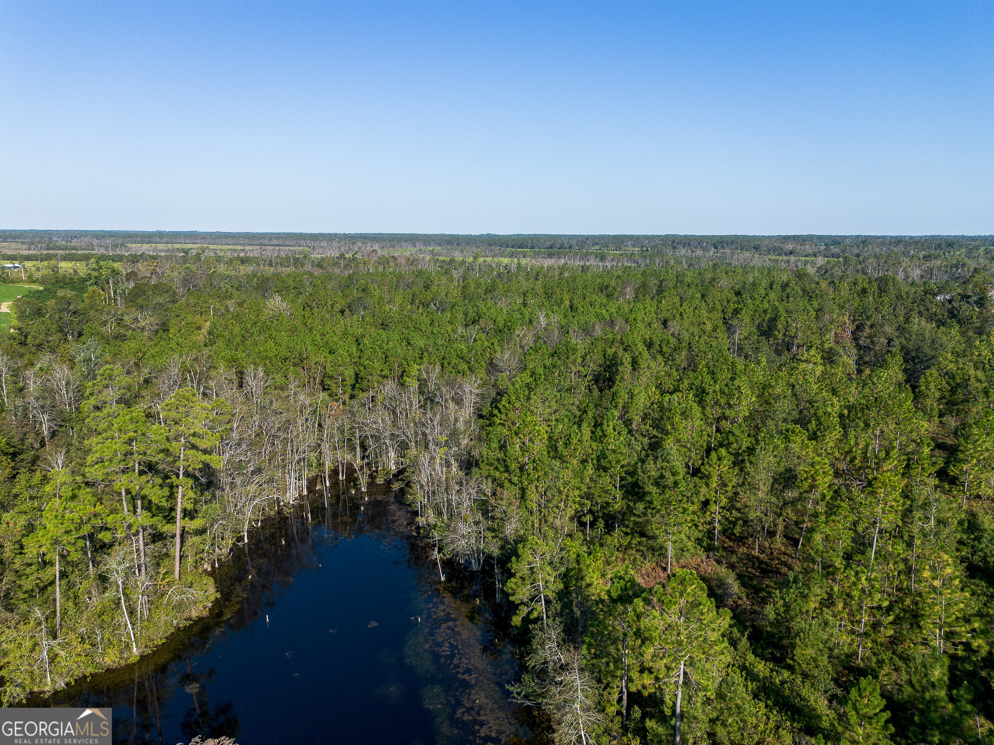 0 Rhonda Coleman Road Hazlehurst, GA 31539 - Photo 14 of 18 a view of an outdoor space with a lake view