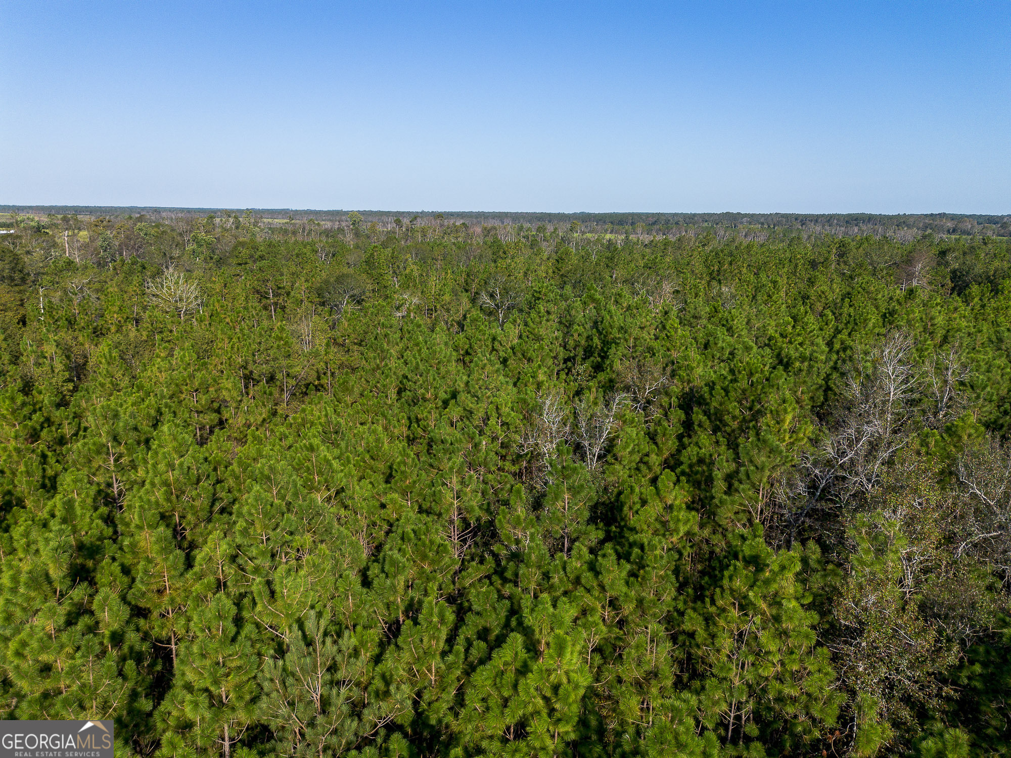 0 Rhonda Coleman Road Hazlehurst, GA 31539 - Photo 15 of 18