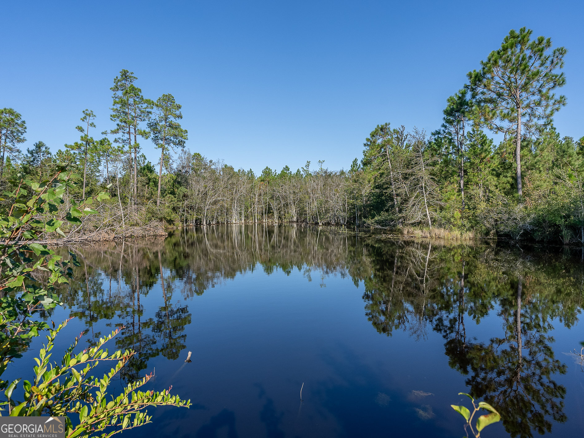 0 Rhonda Coleman Road Hazlehurst, GA 31539 - Photo 16 of 18 a view of lake