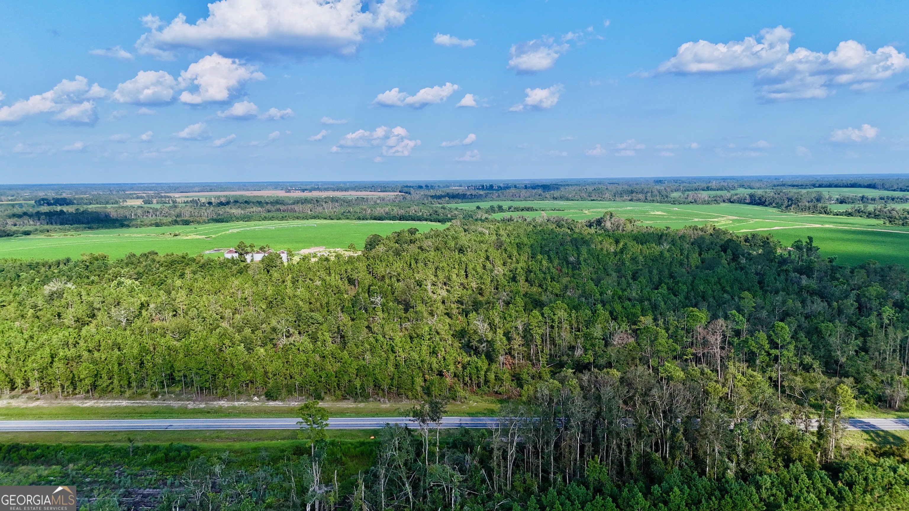 0 Rhonda Coleman Road Hazlehurst, GA 31539 - Photo 17 of 18 a view of a green field of grass and a tree