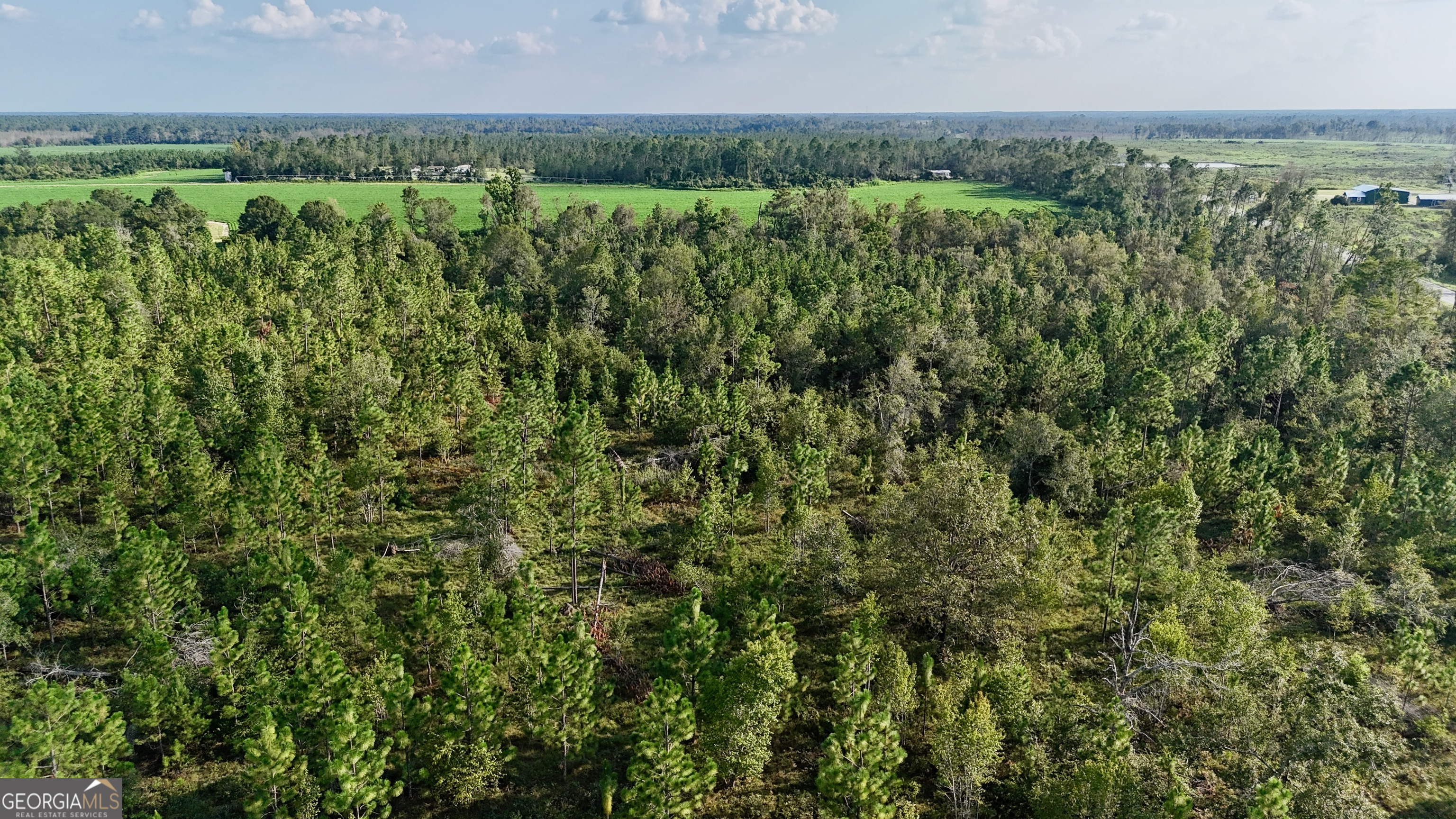 0 Rhonda Coleman Road Hazlehurst, GA 31539 - Photo 18 of 18 a view of a lush green forest with houses