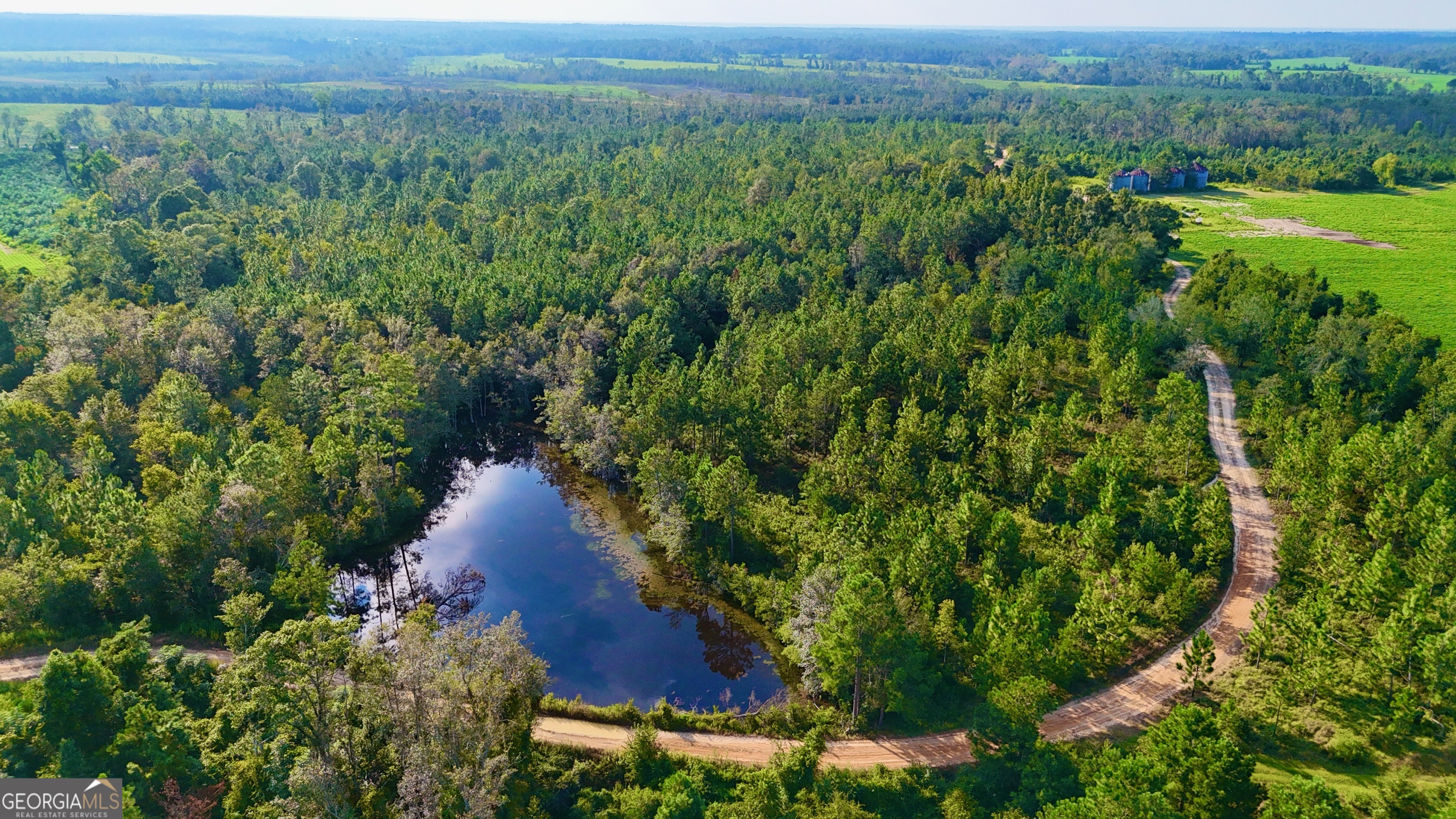 0 Rhonda Coleman Road Hazlehurst, GA 31539 - Photo 2 of 18 a view of a lush green forest with lots of trees