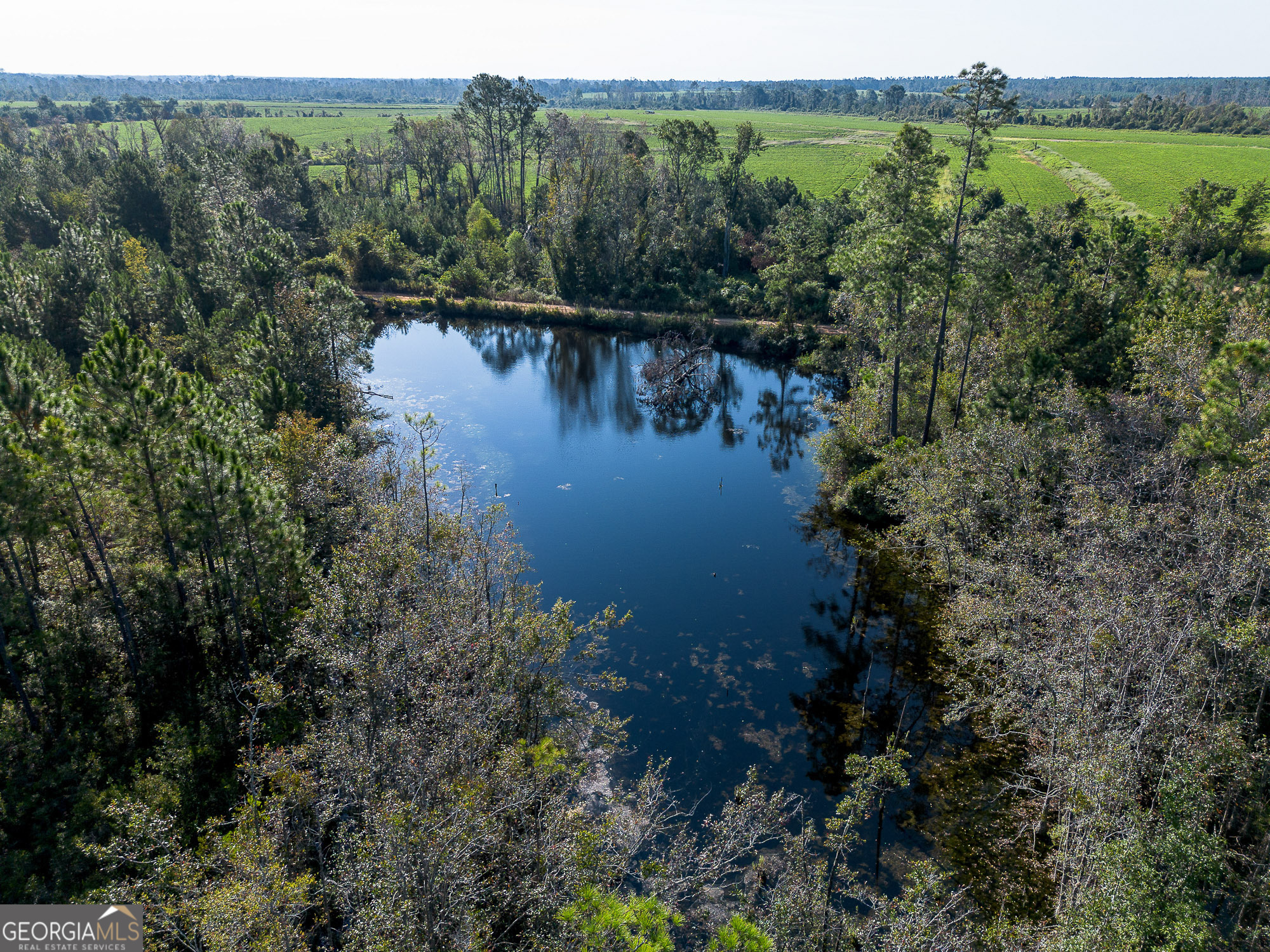 0 Rhonda Coleman Road Hazlehurst, GA 31539 - Photo 4 of 18 a view of a lake with lots of trees