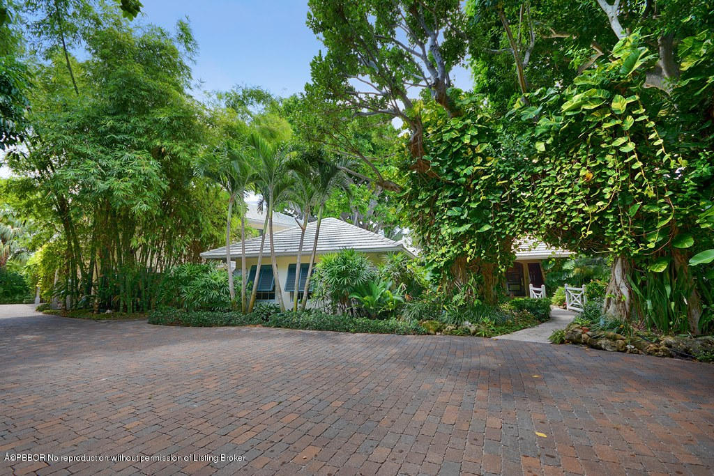 400 Caribbean Road Palm Beach, FL 33480 - Photo 28 of 45 a view of a patio with plants and large trees
