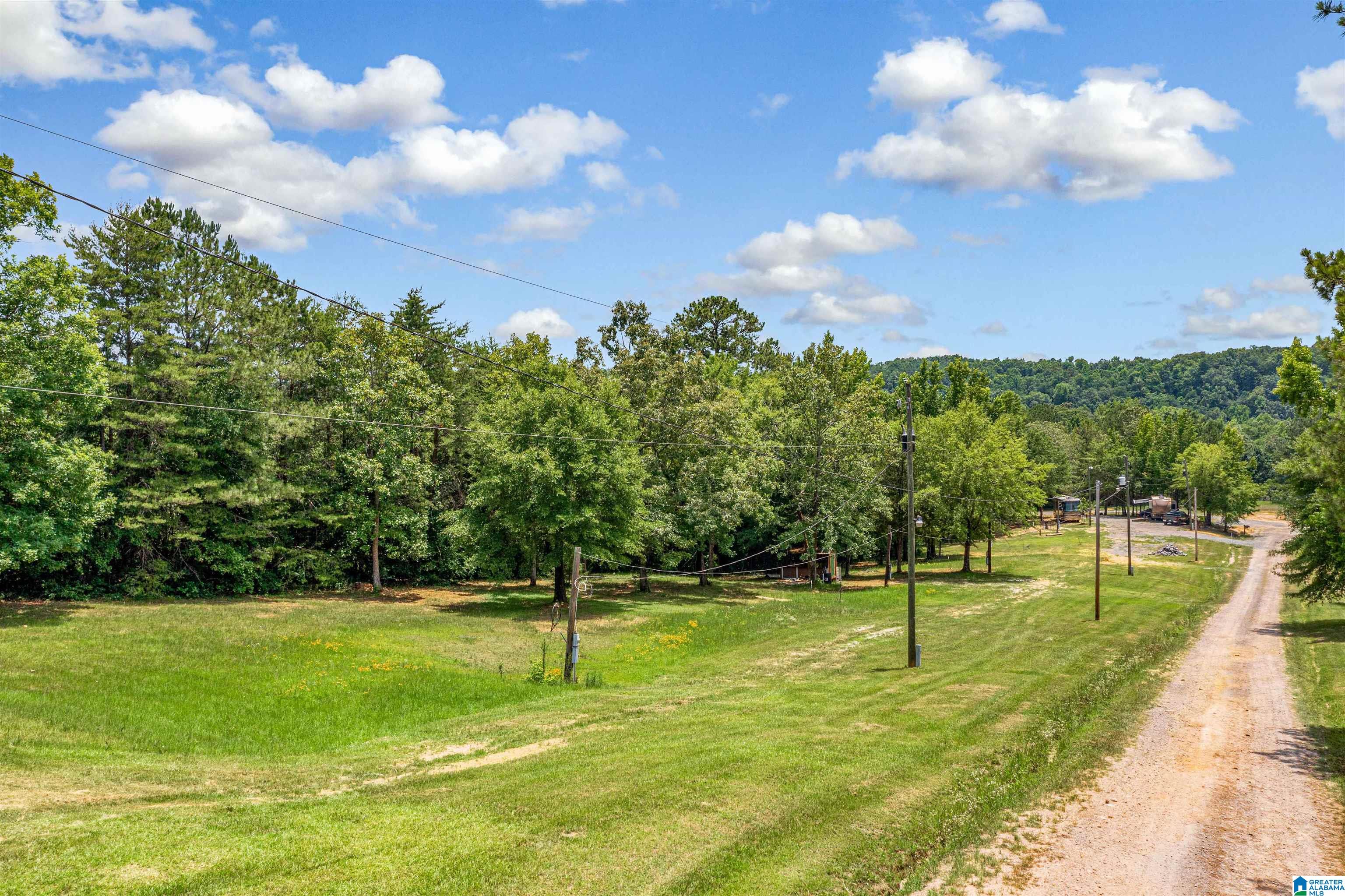 0 Hurricane Valley Road, Unit 1 Brookwood, AL 35444 - Photo 17 of 24