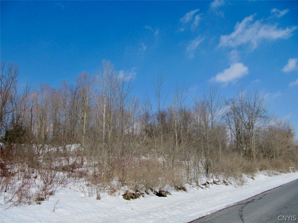 3067 Brewer Road Marcellus, NY 13110 - Photo 1 of 1 Gallery Image 1