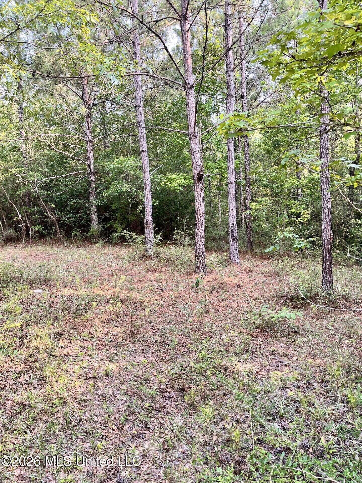 27 Roy Road Lumberton, MS 39455 - Photo 3 of 8 8718ffe9-b678-4a84-85f4-bfa351ee2d6d
