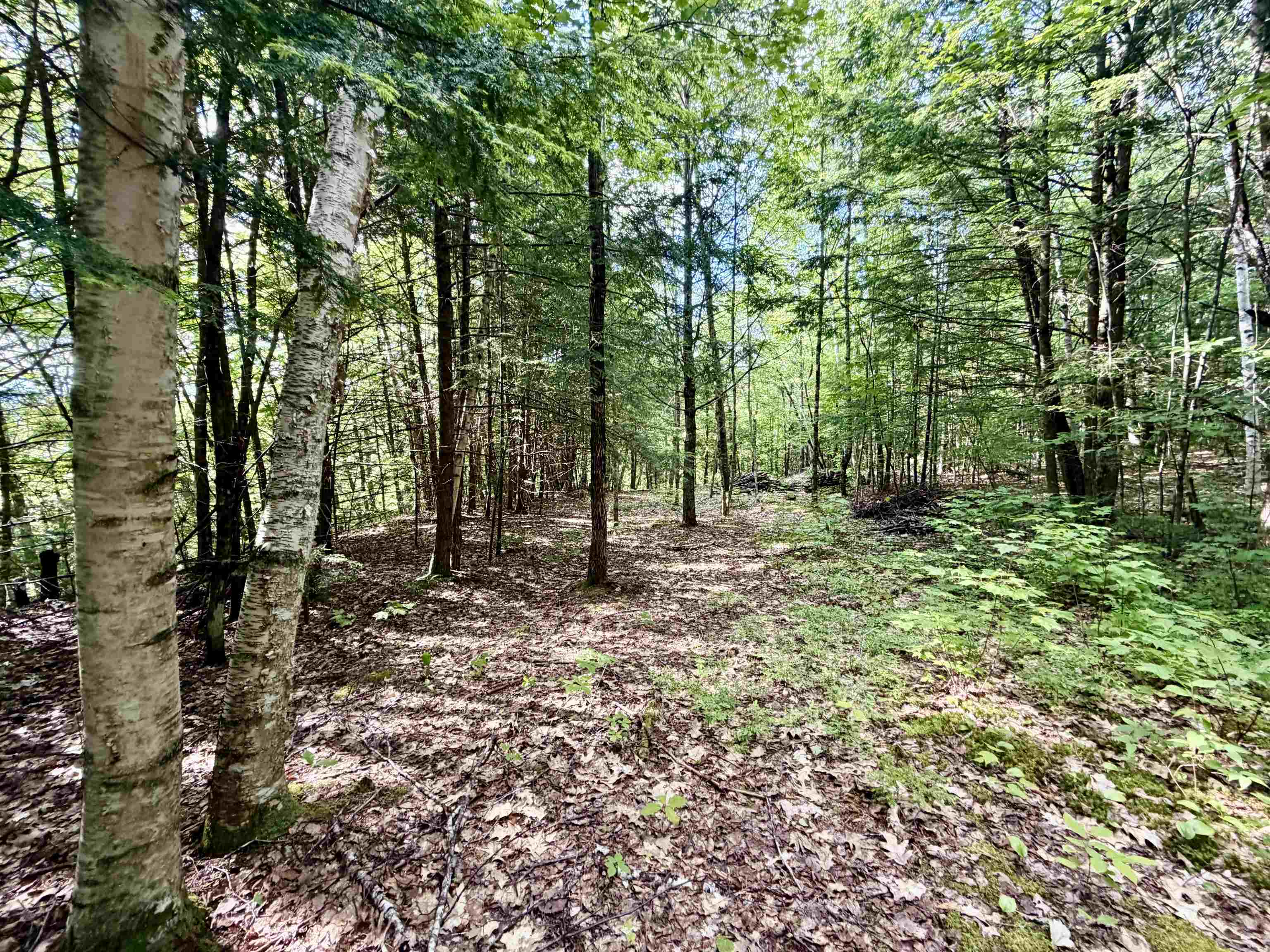 175 Nh Route Campton, NH 03223 - Photo 8 of 15